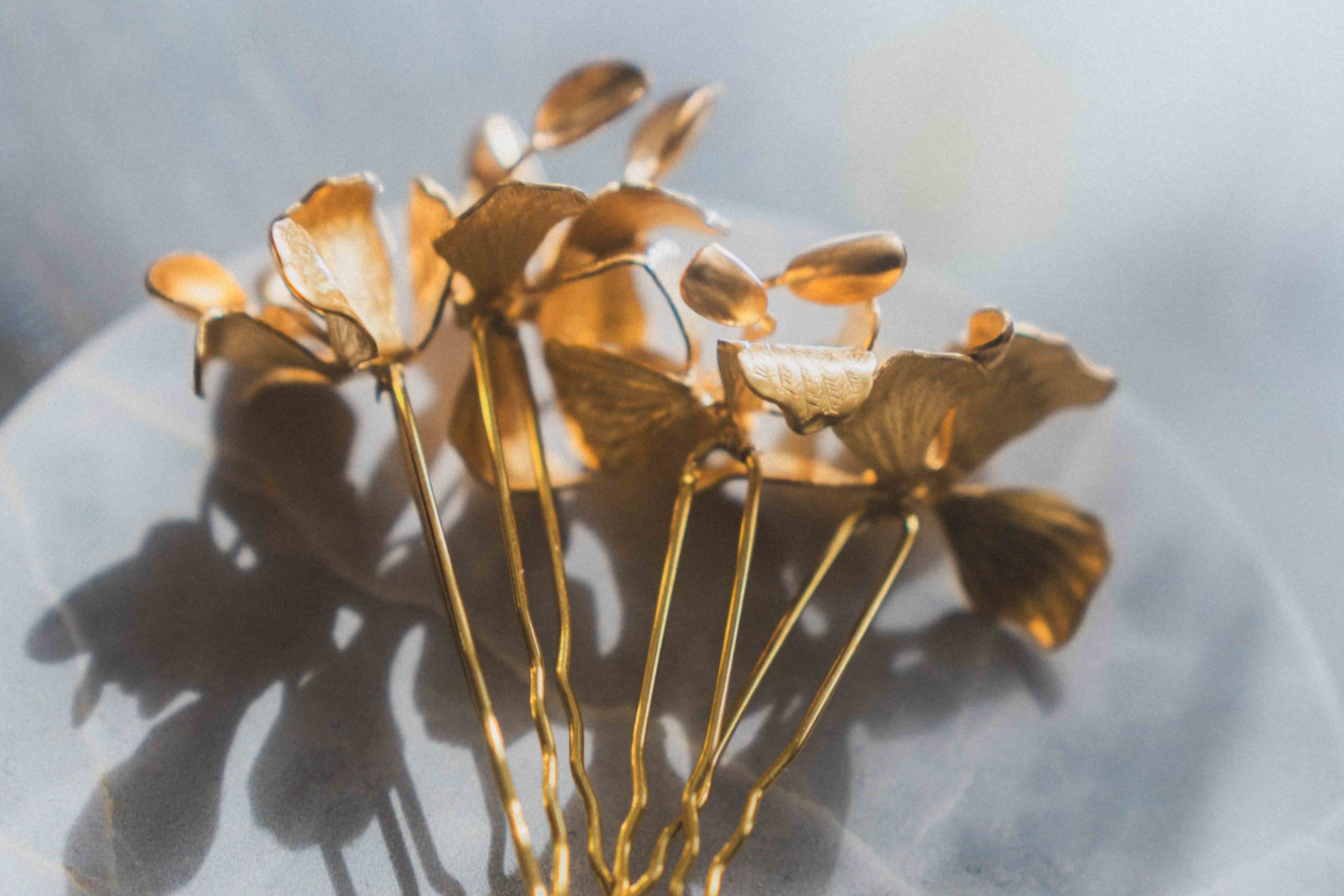 TOP_SHOP_Coussinet_2024_PC-1