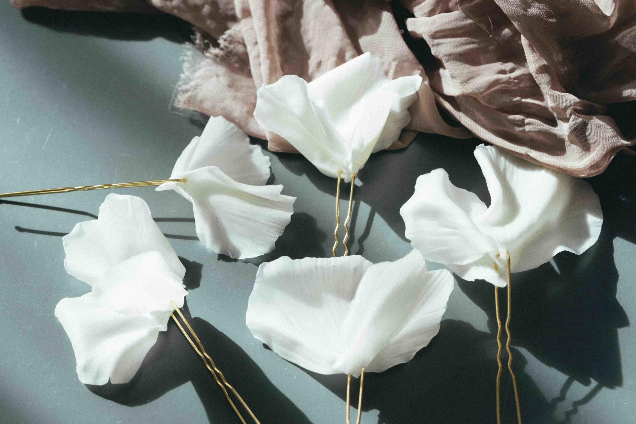 TOP_SHOP_Coussinet_2024_PC-3